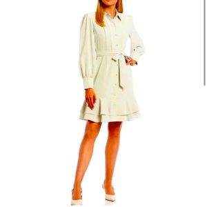 Long sleeve Alex Marie Dress Size 14, light green gently used size 14